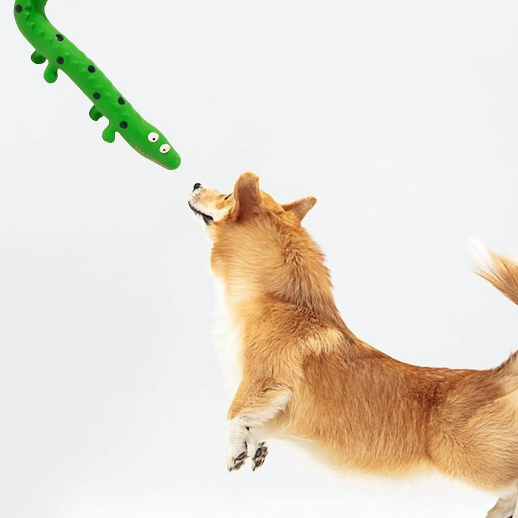 Green lizard-shaped dog chew toy with squeaker for small medium large breed dogs