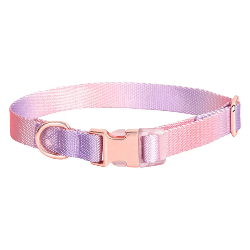 Adjustable nylon dog collar with gradient colour, available in sizes S M L for small medium large dogs