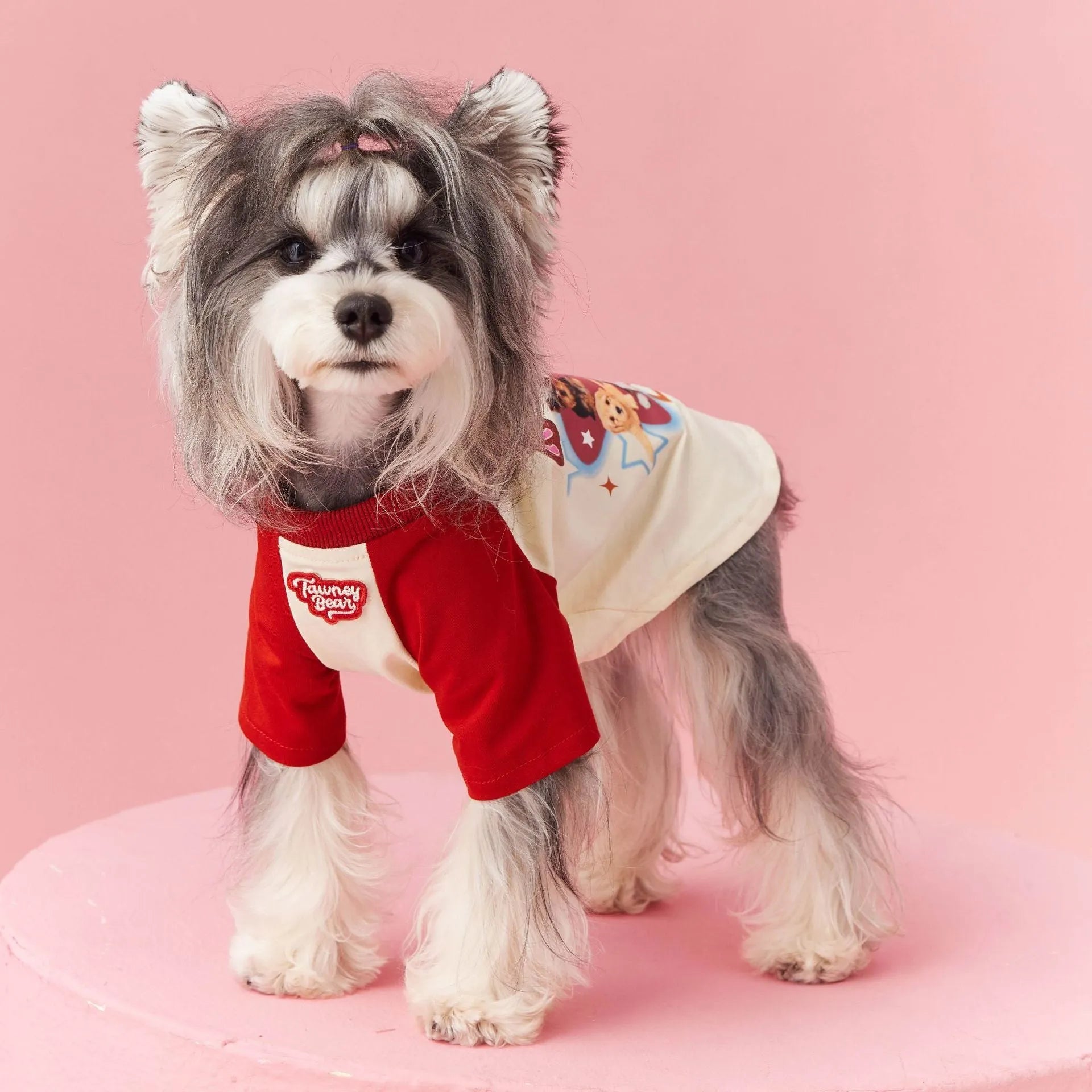 Red cotton summer dog outfit with contrast embroidery for male dogs in size L