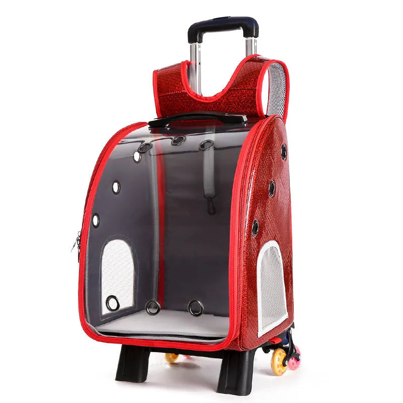 Transparent pet trolley carrier with folding design for small dogs and cats