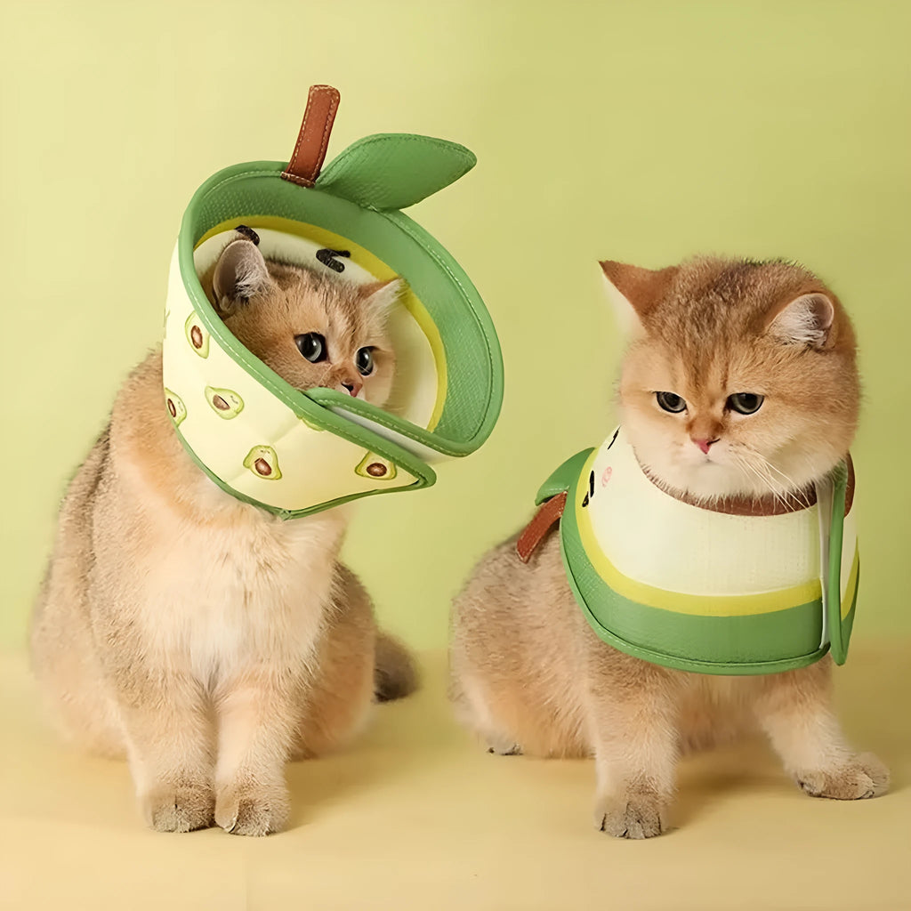 Soft EPE cat recovery cone collar with adjustable strap shown on a grey cat.