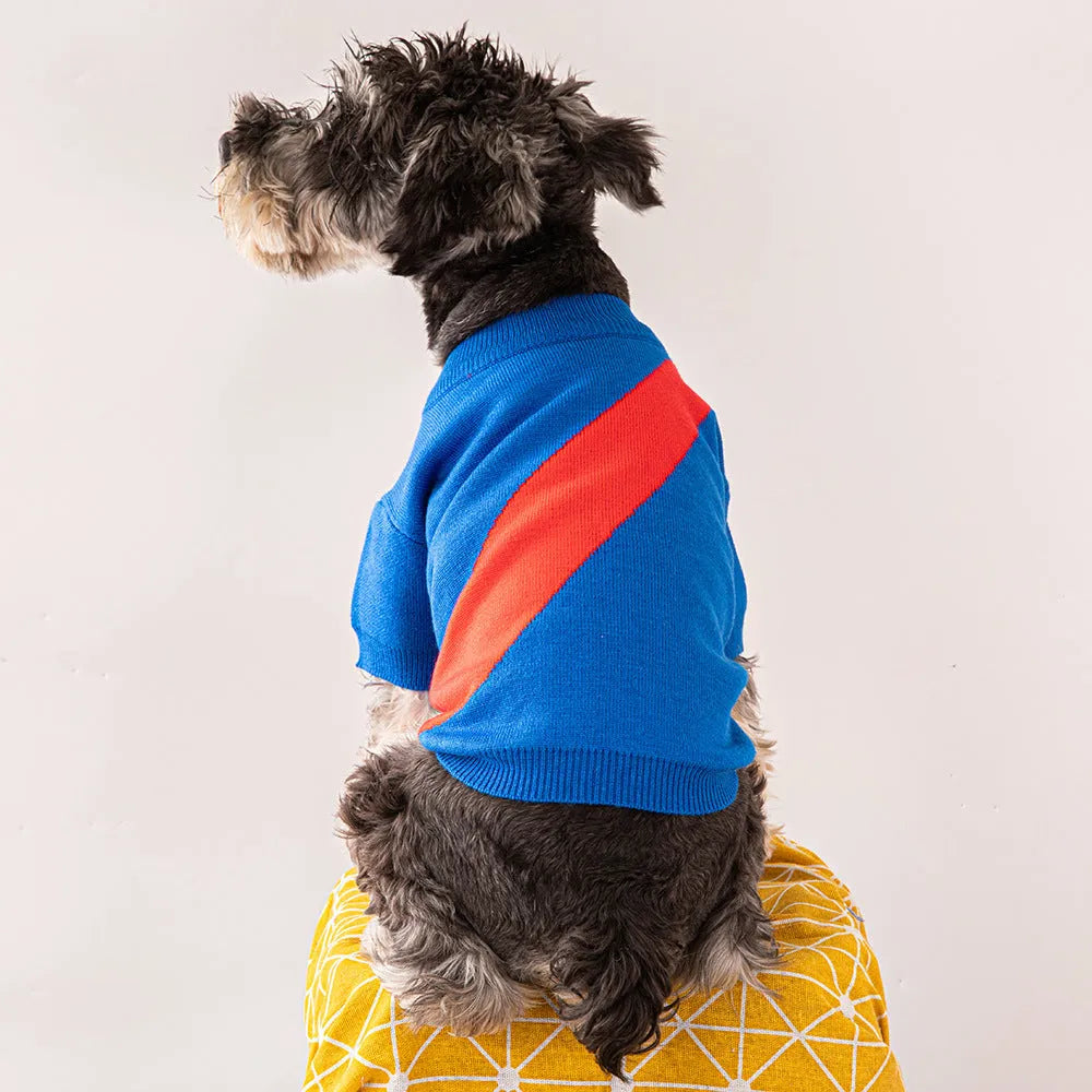Casual wool dog sweater for Corgi or Poodle in multiple colours