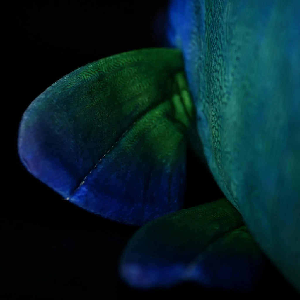 Green realistic printed sunfish plush toy with wavy lips, 55cm length, soft plush material