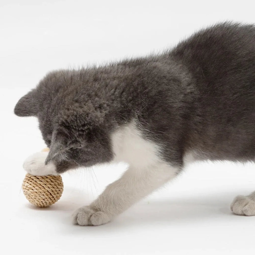 Two cat toys: a faux feather bell ball and a hollow rattan ball on a plain background.