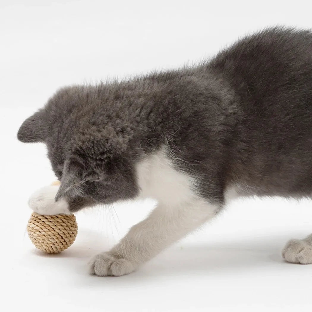 Two cat toys: a faux feather bell ball and a hollow rattan ball on a plain background.