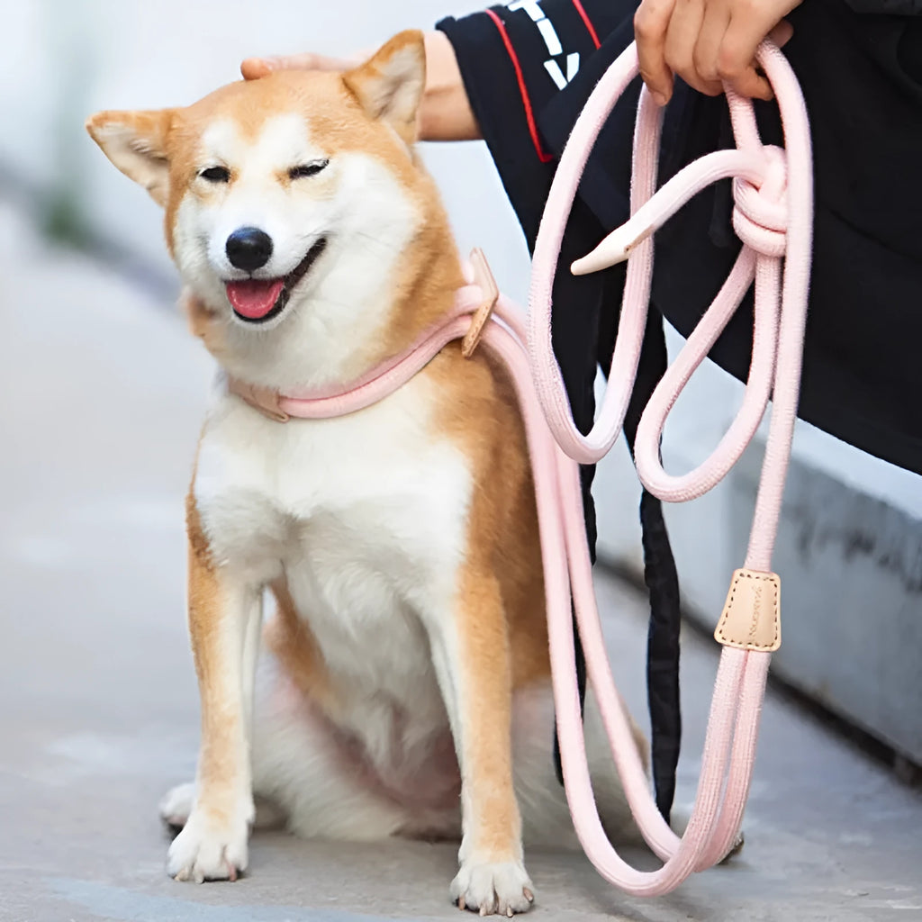 Light green cotton multi-functional dog leash with chest harness function, 12mm rope, adjustable 3.8m length