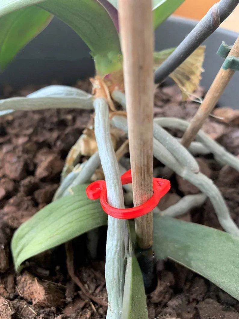 Small cat-shaped plastic plant clip in four colour options for indoor gardening support