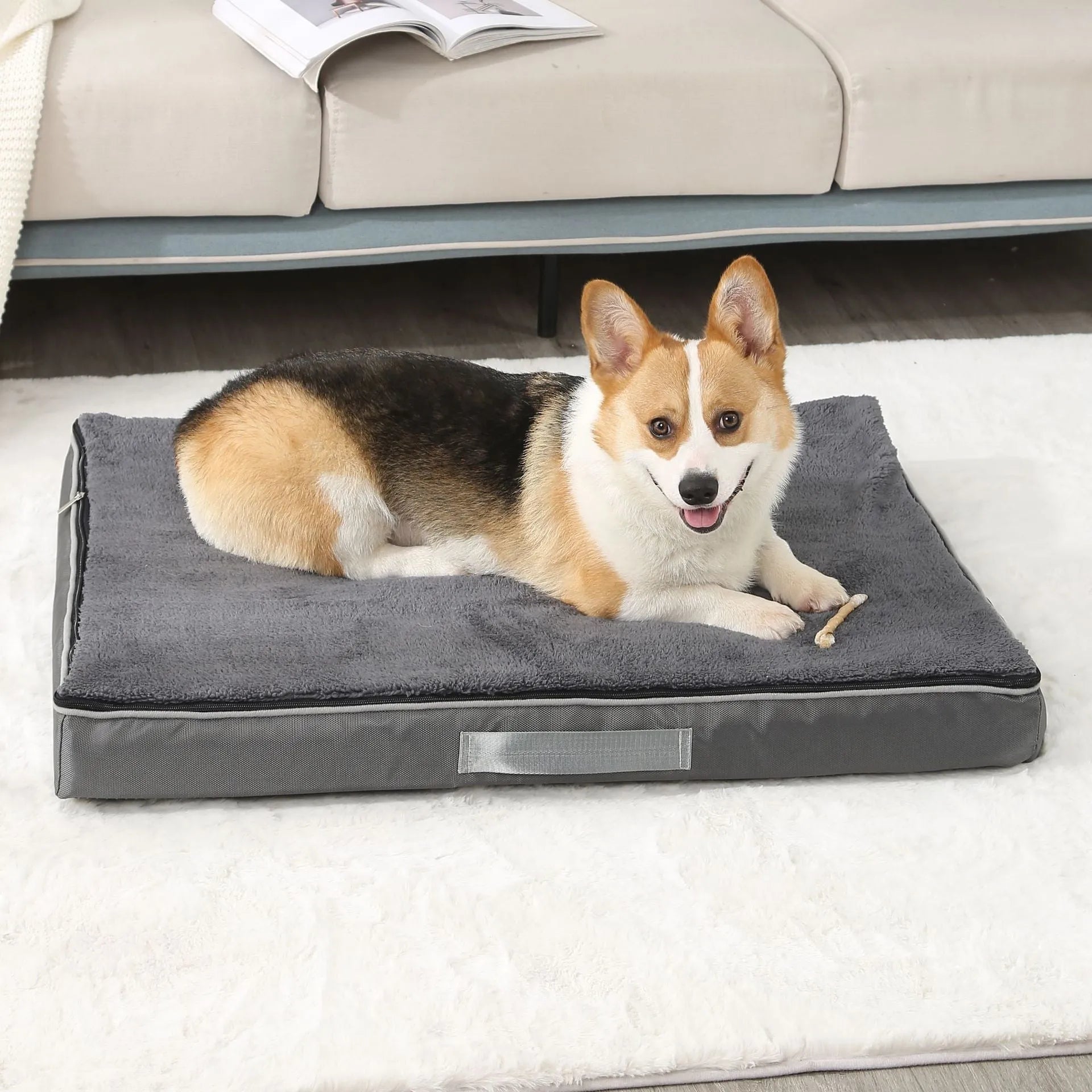 Removable washable memory sponge dog mat in brown, shown in a 100x75cm size.