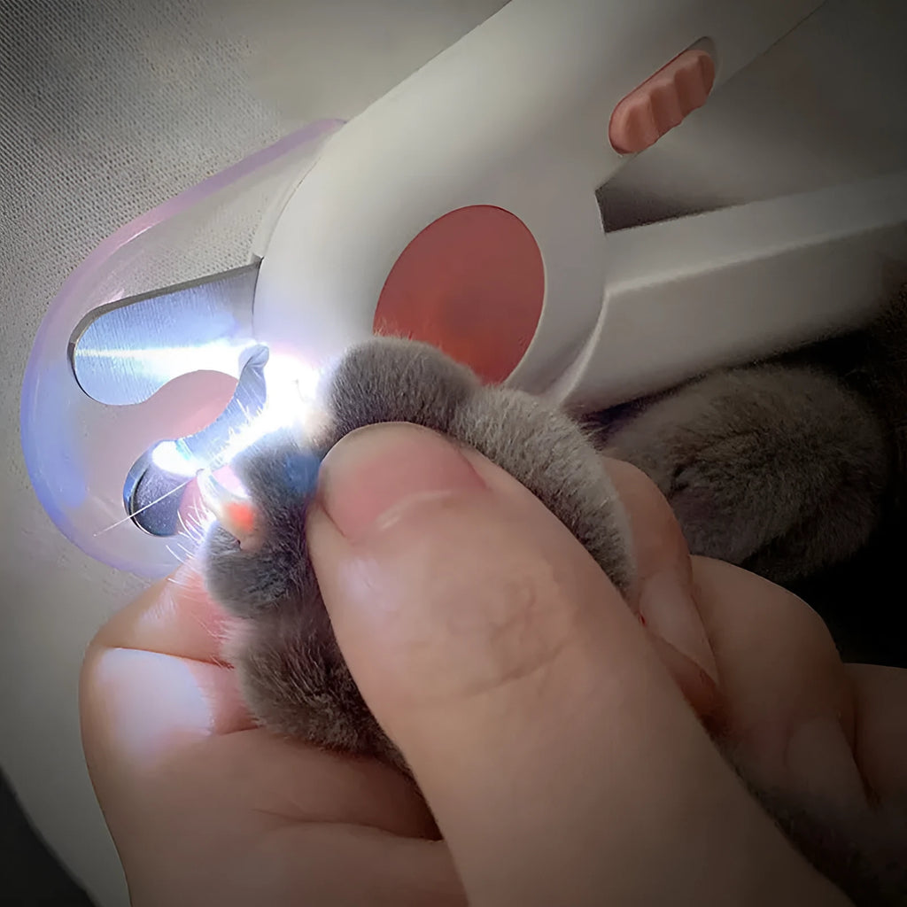 Blue LED pet nail clippers 14.5 cm with stainless steel blade for cats and dogs