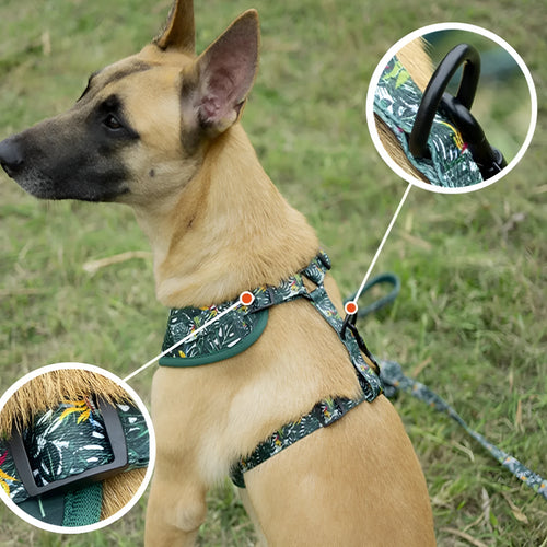 Adjustable cloth vest dog harness set with haulage rope, collar, bow tie, scarf, and pick-up bag in various colours.