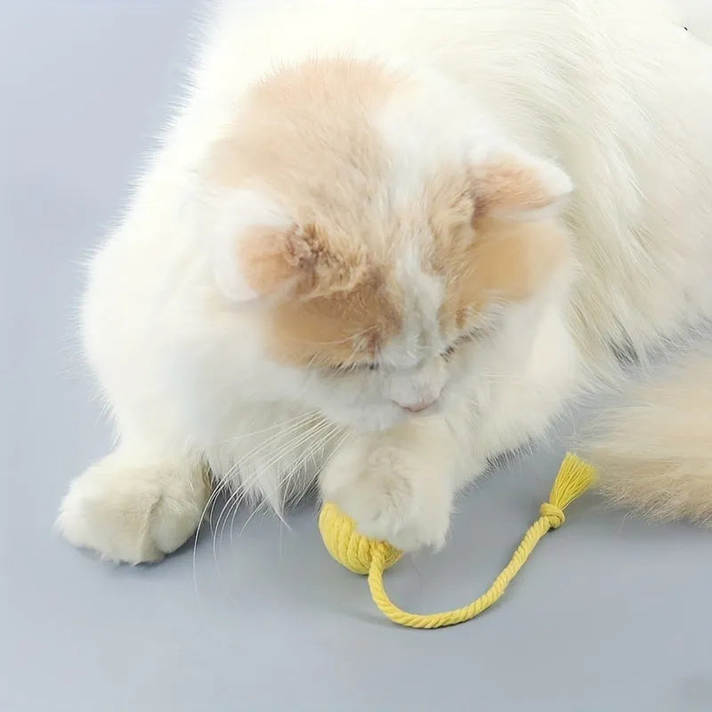 Cat toy ball with rope and bell in green pink purple yellow colours showing 3cm and 6cm size options