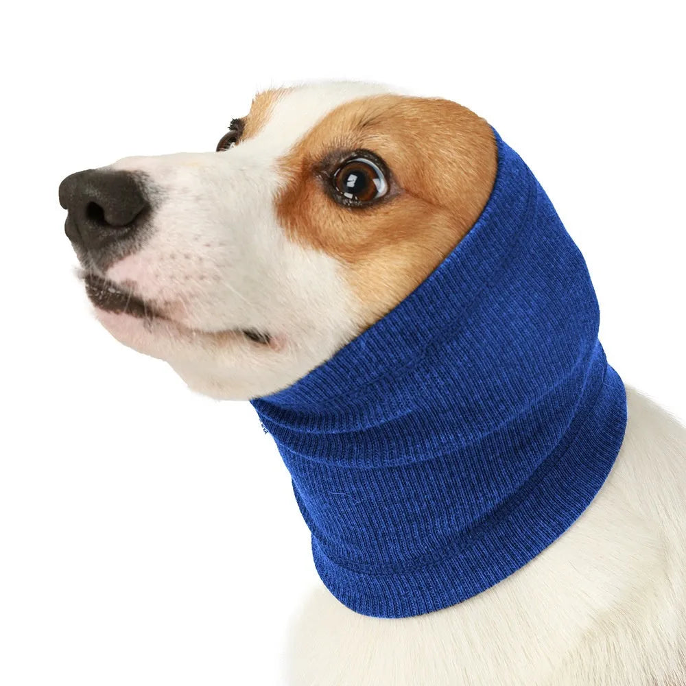A blue polyester headband scarf for a dog, shown in a casual style.