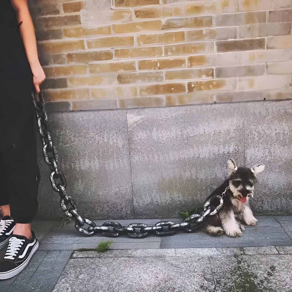 PP plastic dog walking leash and video prop in bronze, antique silver, or black colour options.