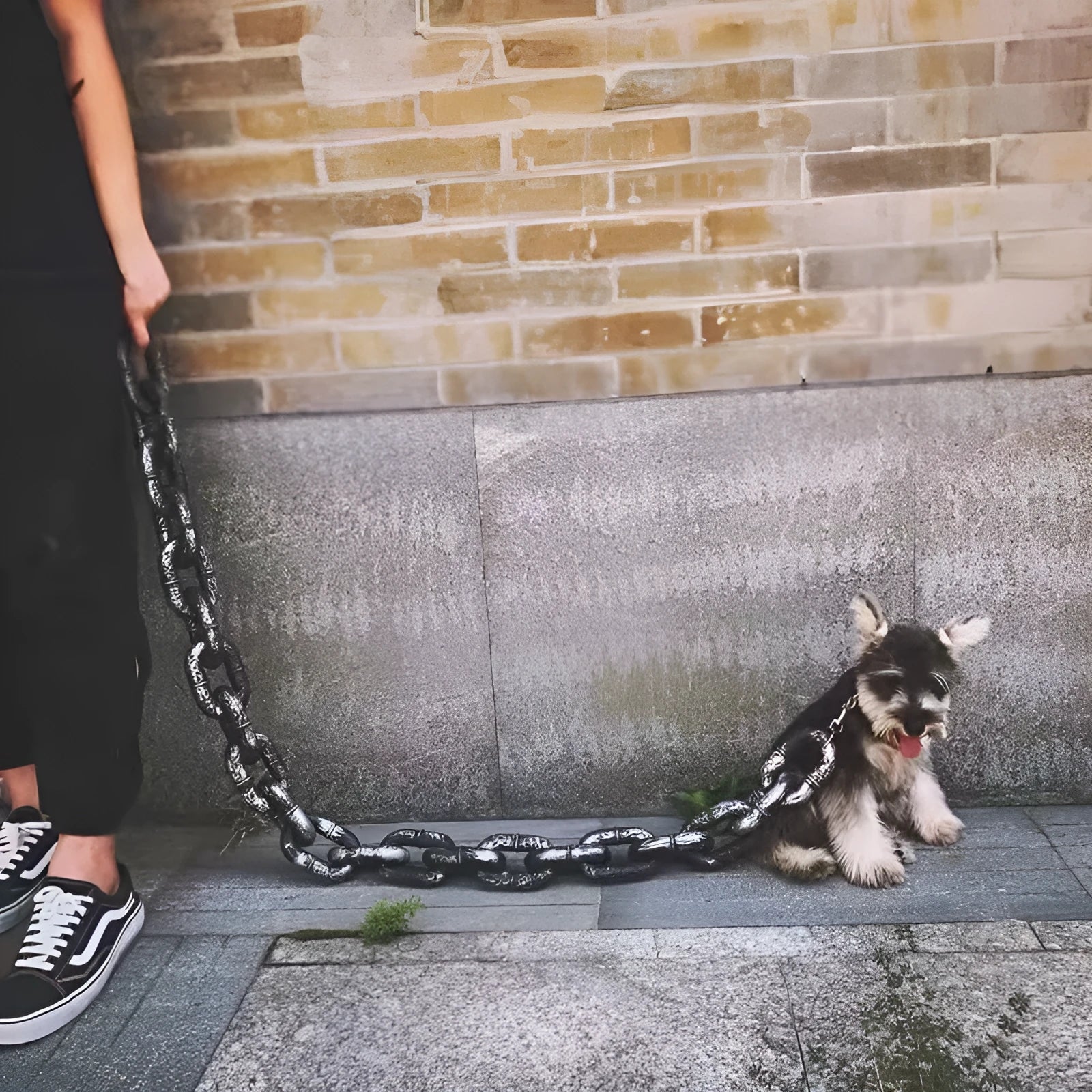 PP plastic dog walking leash and video prop in bronze, antique silver, or black colour options.