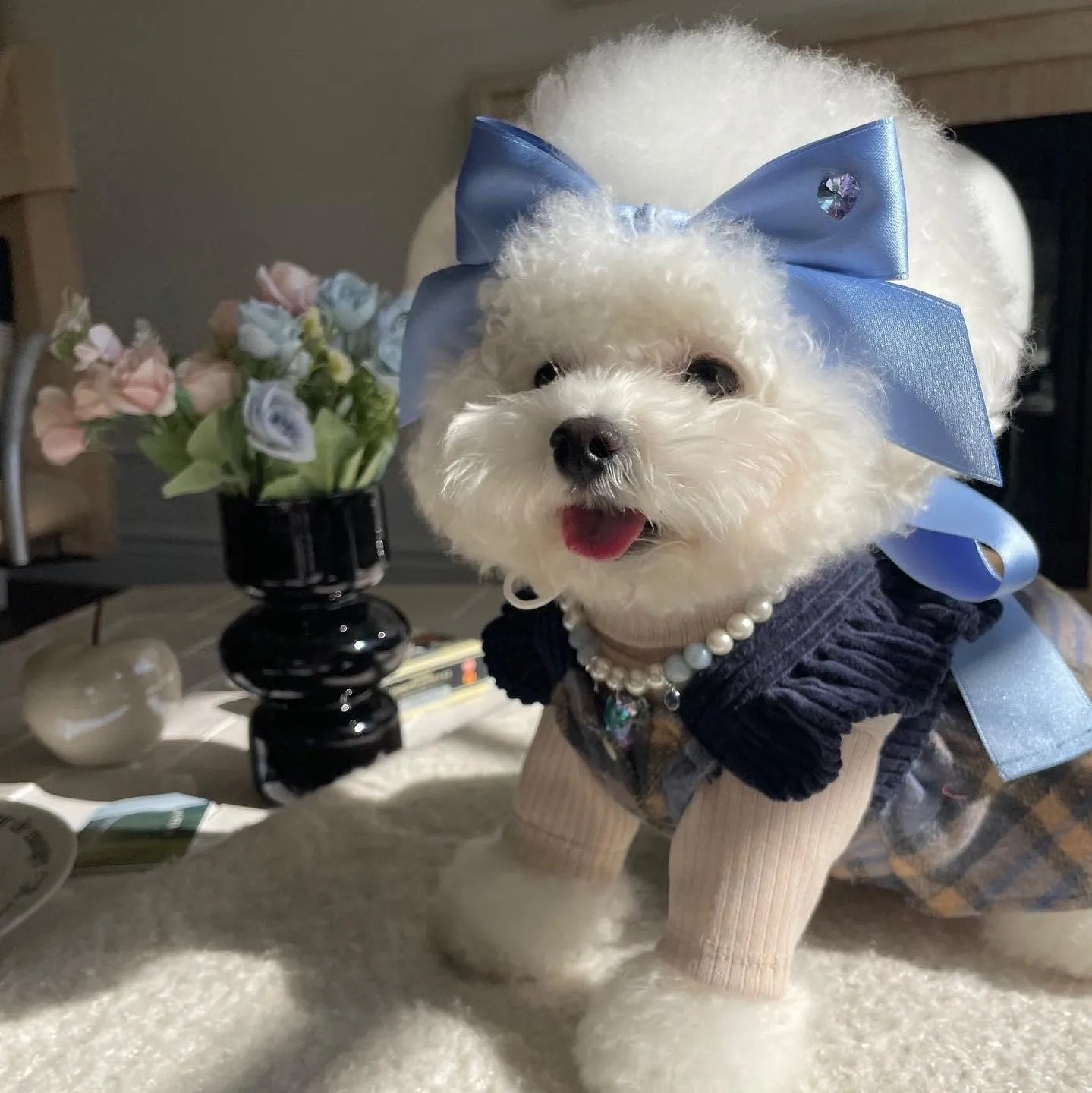 Adjustable dog hair band with princess style bow in blue and pink colours