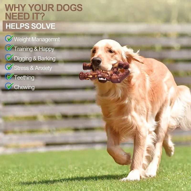 Scarlet nylon dog molar nibbling toy with beef flavour measuring 17.2cm for pet dental care