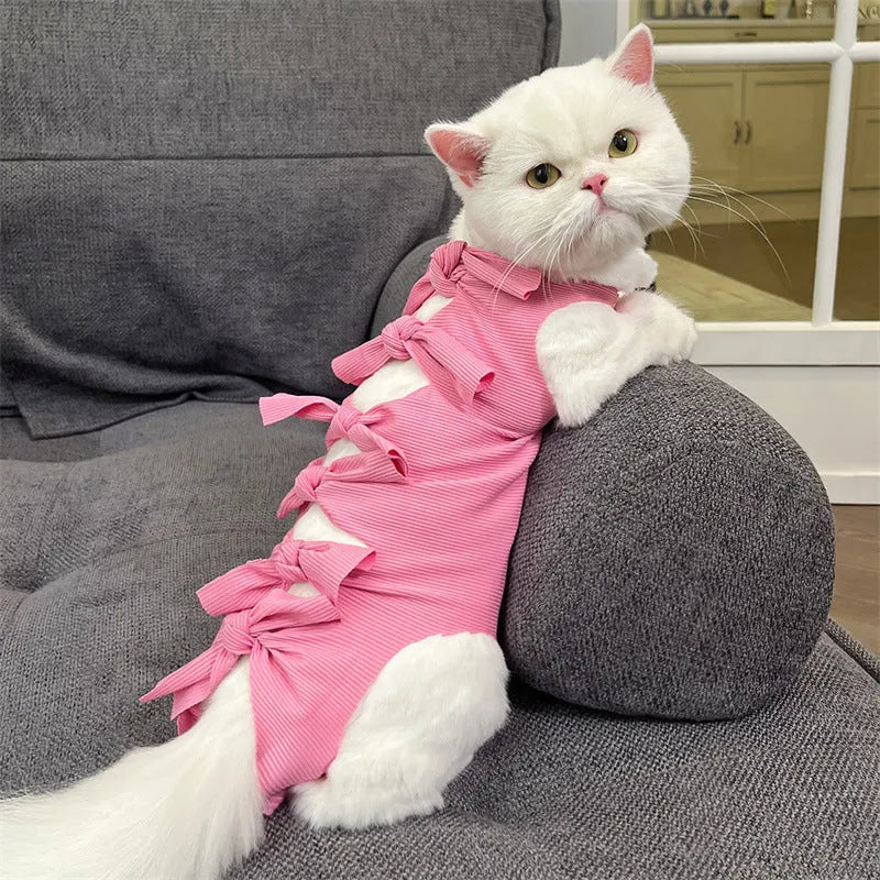 Lace-up cat sterilisation clothing in blue colour, shown on a mannequin, with adjustable ties.