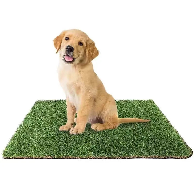 Green plastic emulational grass dog toilet mat on floor