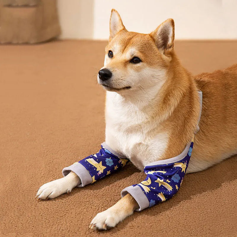 Blue dog knee protector with adjustable buckle and coordinating scarf for medium large breeds