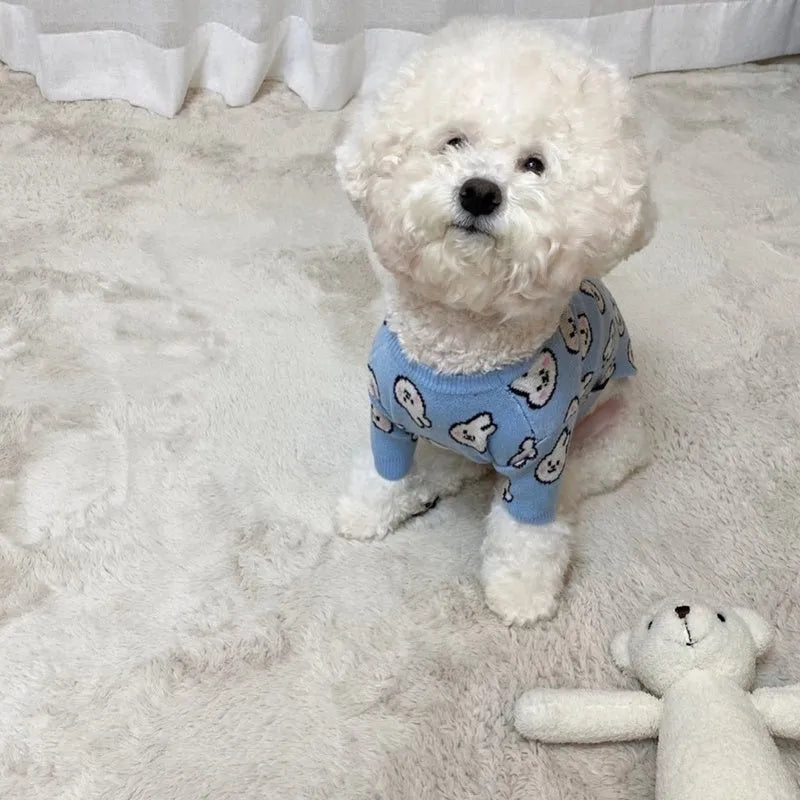 Small dog wearing a blue knitted sweater with charming pattern, warm soft polyacrylic material