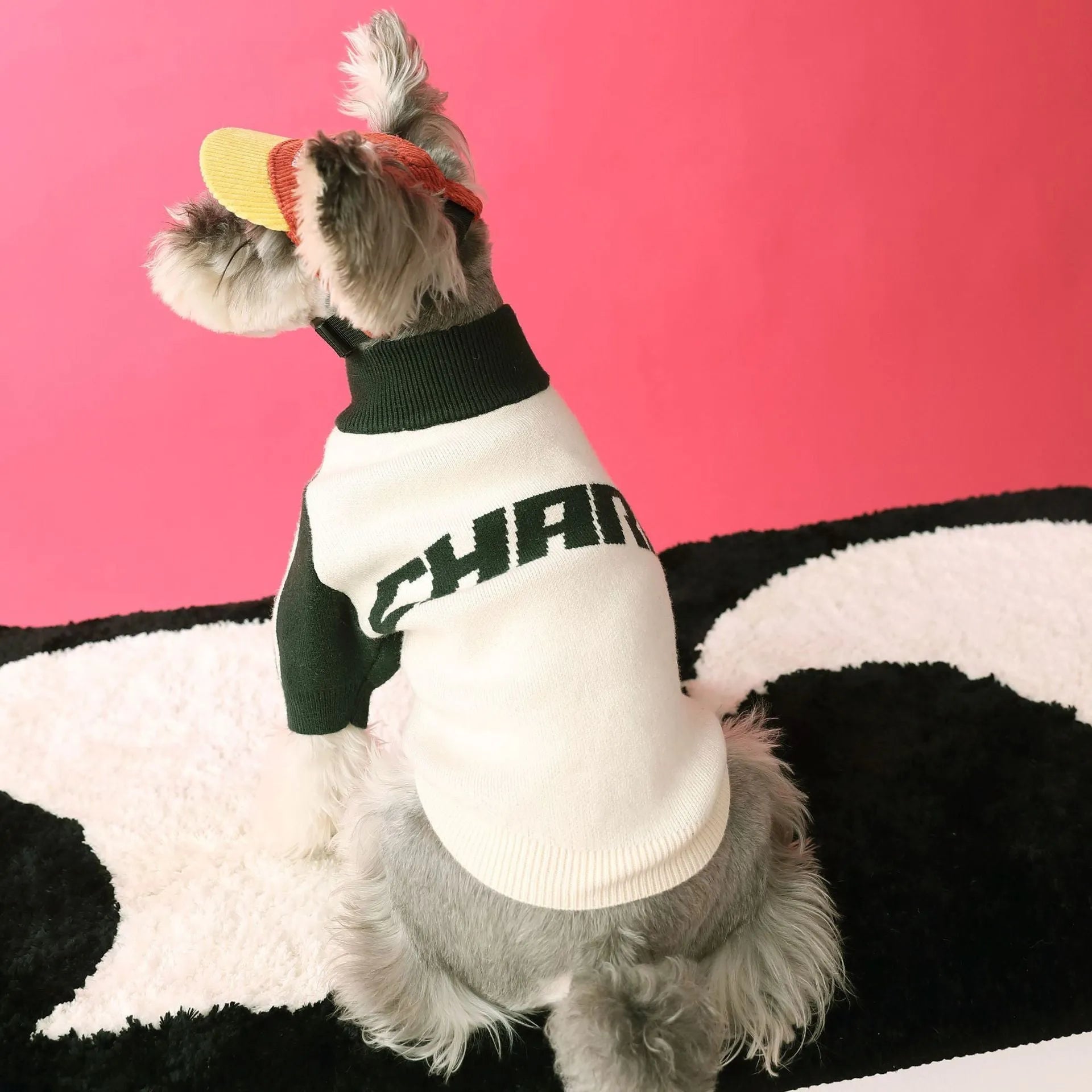 Red wool puppy dog sports sweater cardigan pet clothing on a dog