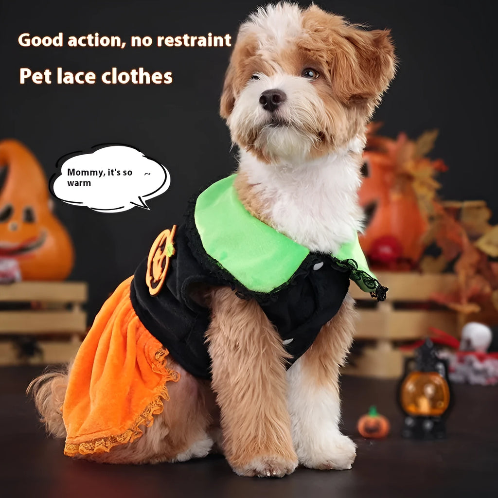 Halloween pumpkin pet costume for dogs and cats in crystal velvet material with sizing options