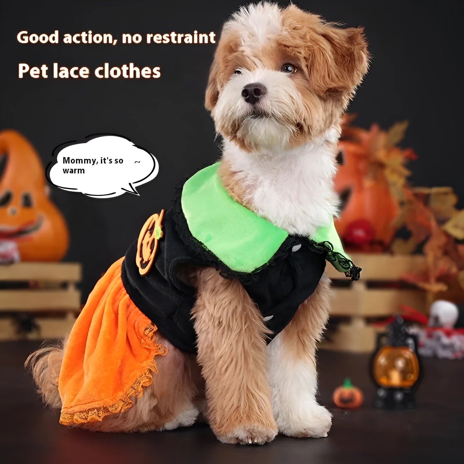 Halloween pumpkin pet costume for dogs and cats in crystal velvet material with sizing options