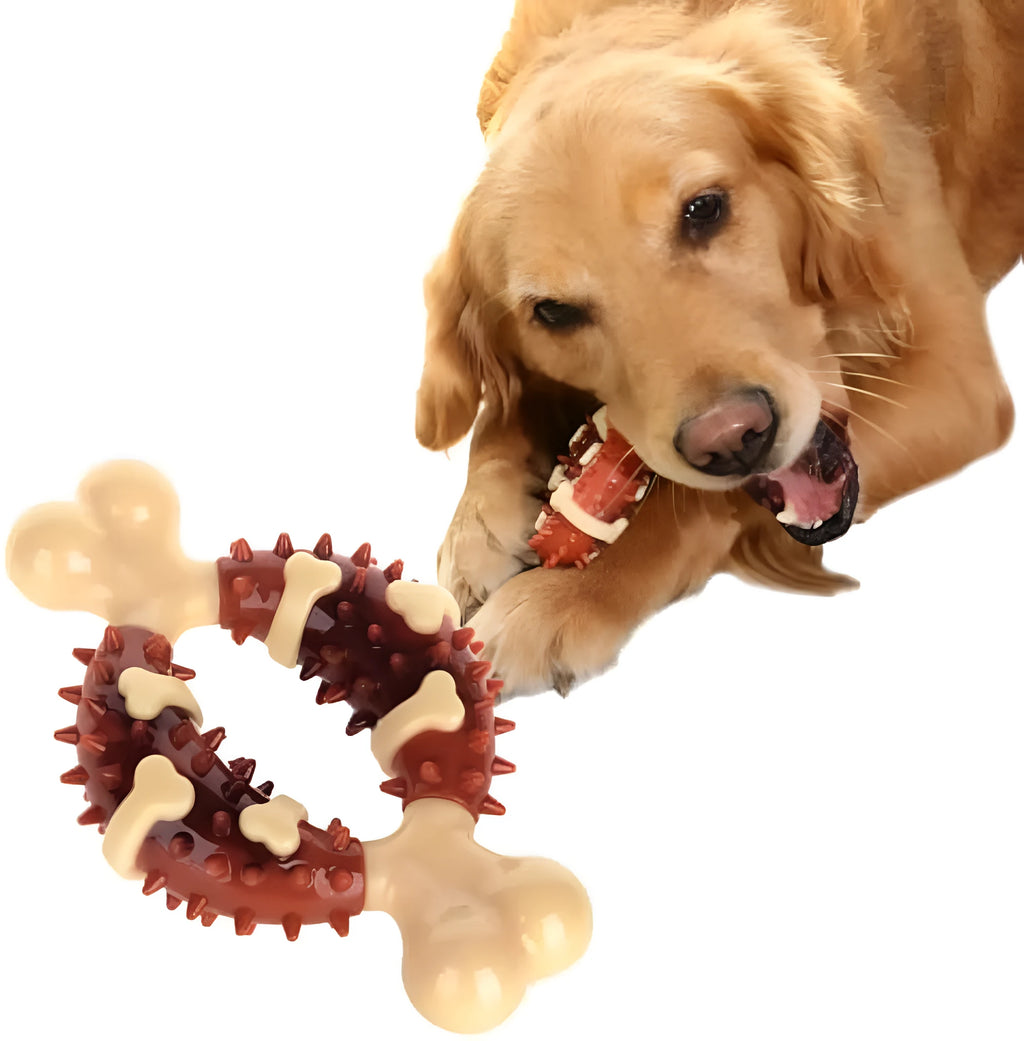 Natural rubber bone-shaped dog chew toy for teeth grinding in two size options
