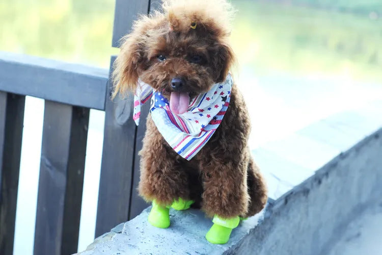 Soft silicone pet rain boots in royal blue on a wet pavement, non-slip sole visible