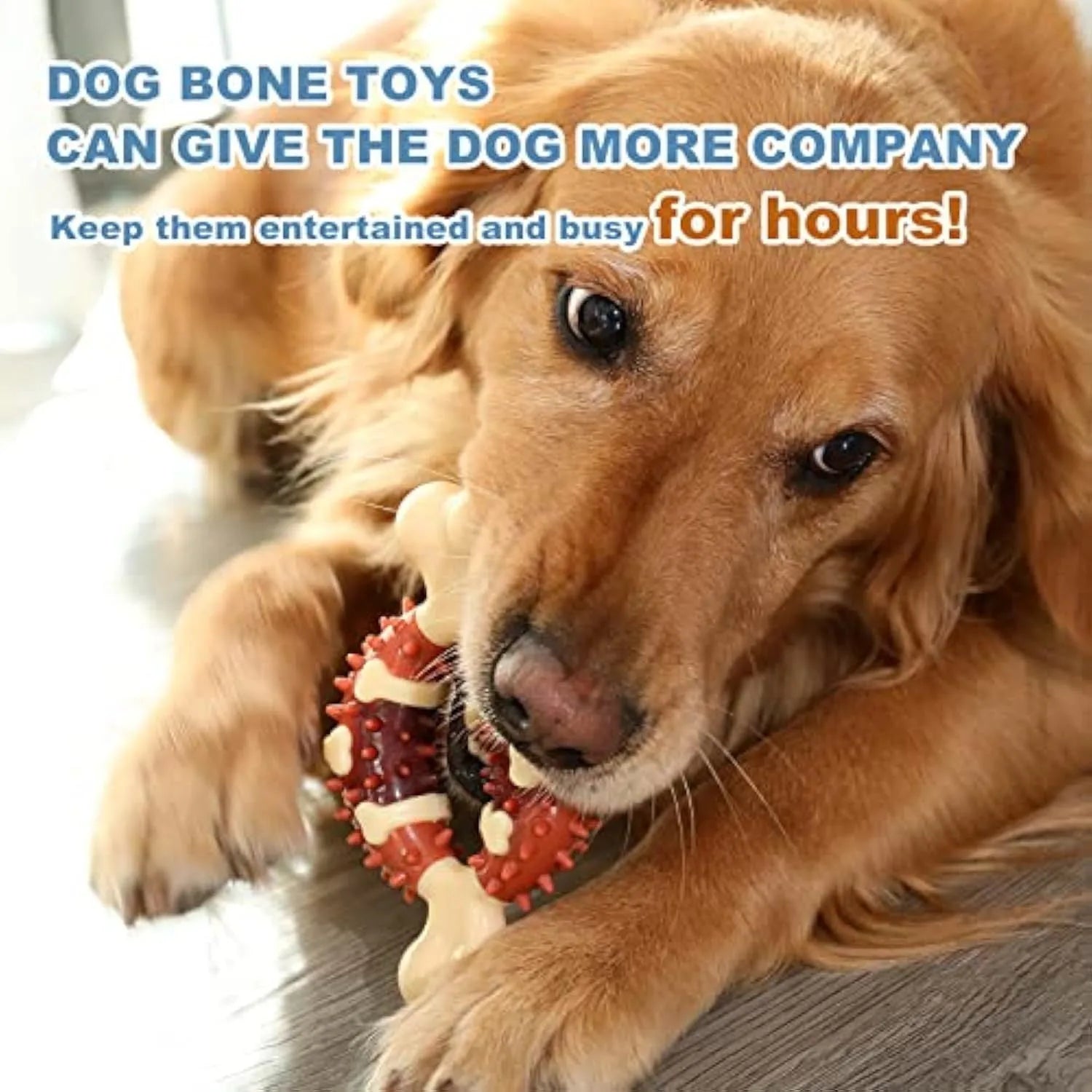 Natural rubber bone-shaped dog chew toy for teeth grinding in two size options