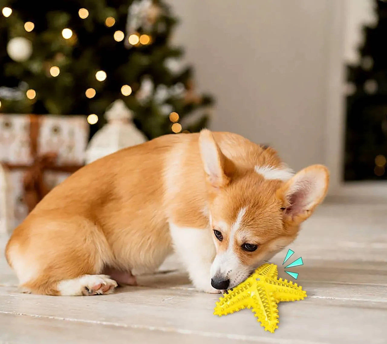 Starfish-shaped TPR dog toy in lake blue for dental cleaning and snack stuffing