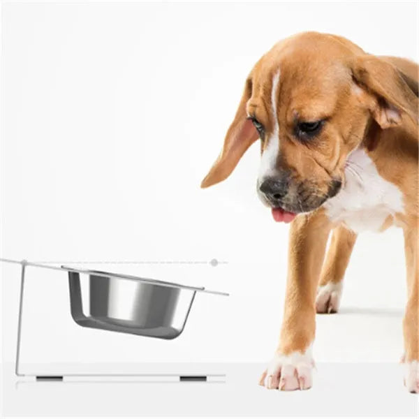 Anti-falling stainless steel pet feeding bowl in black with inclined design