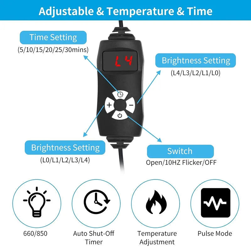 Black infrared therapy belt for waist pain relief with red light technology and international power plugs