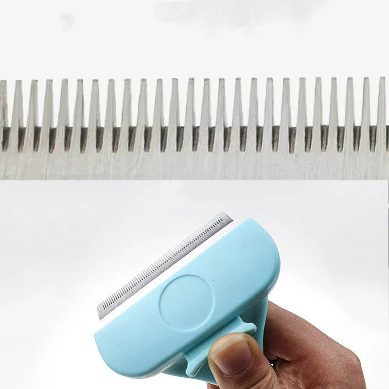 Blue pet grooming float brush with stainless steel pins and rubber cushion on white background