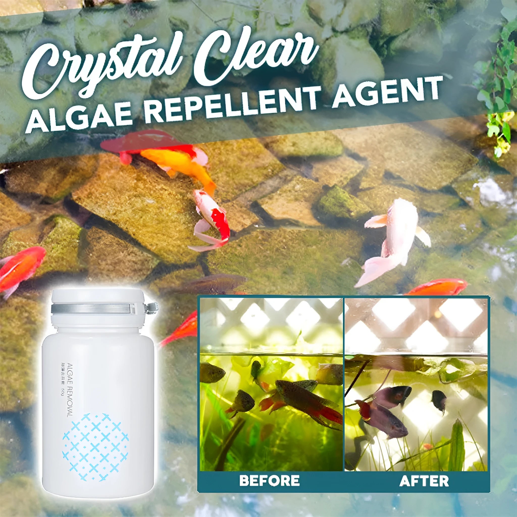 50g swimming pool algaecide treatment for algae removal and moss prevention