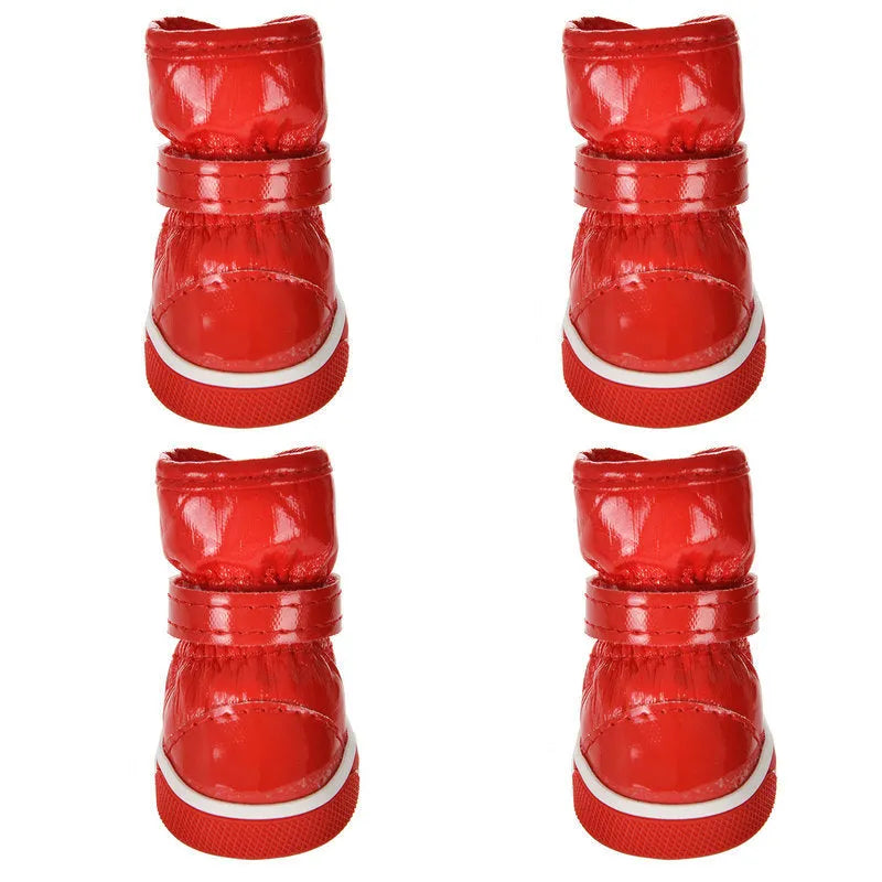 Dog cotton ski boots in four colours on a dog's paws for winter walking