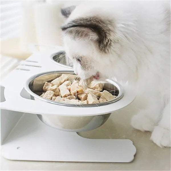 Anti-falling stainless steel pet feeding bowl in black with inclined design