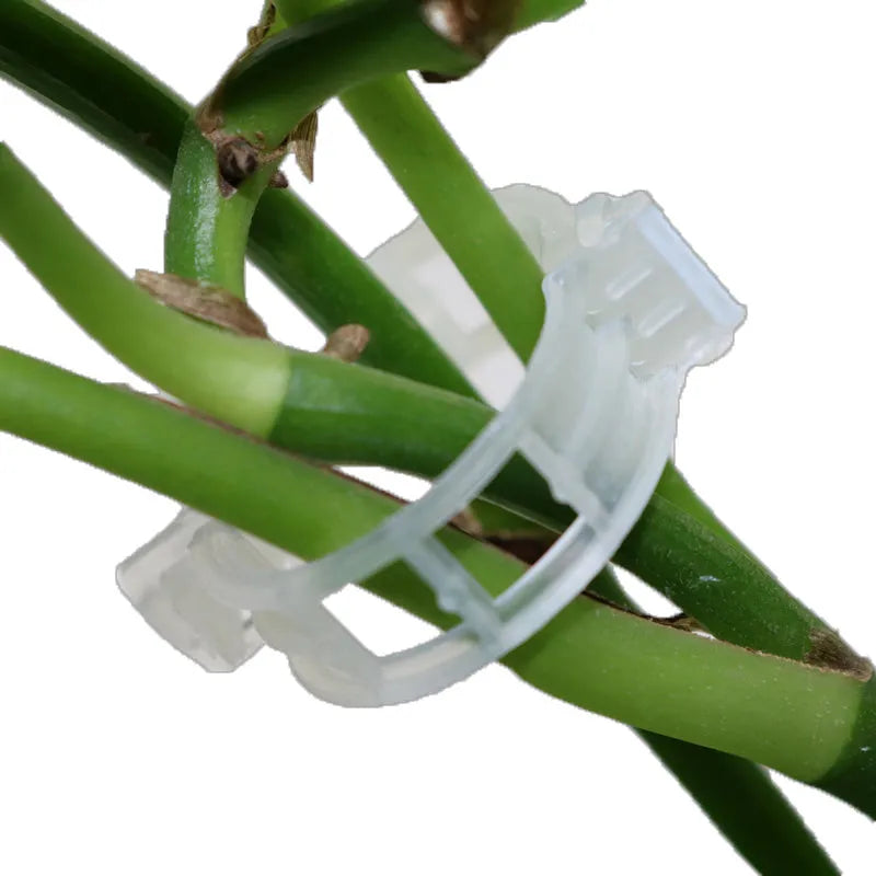 Plastic garden plant clips set of 50 pieces for tomato and flower plant support