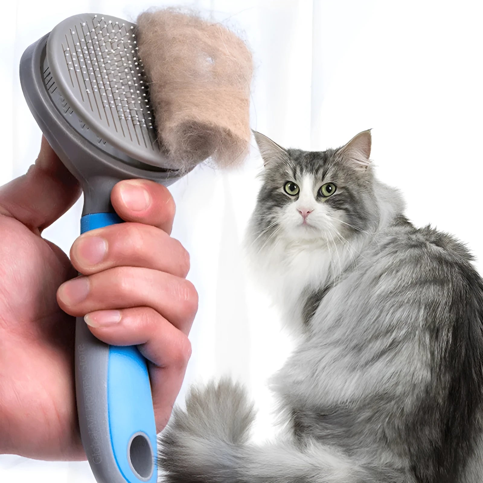Pet steel needle brush for cats and dogs with blue plastic handle