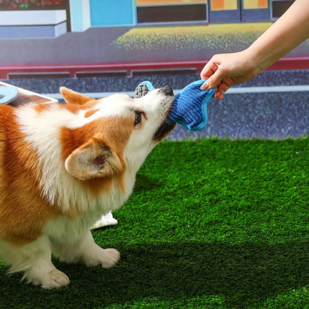 Teddy dog toy with bone squeaker in corn fleece with soft lining for bite-resistant chewing