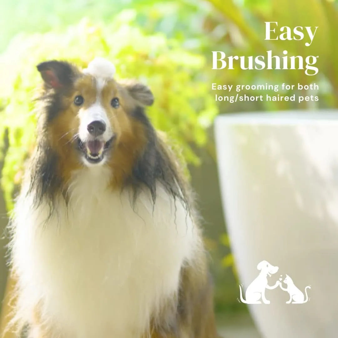 Blue self-cleaning slicker brush for dogs and cats with a non-slip rubber handle.
