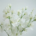 Single stem artificial silk pea flower in four colour options: pink, light purple, purplish red, white
