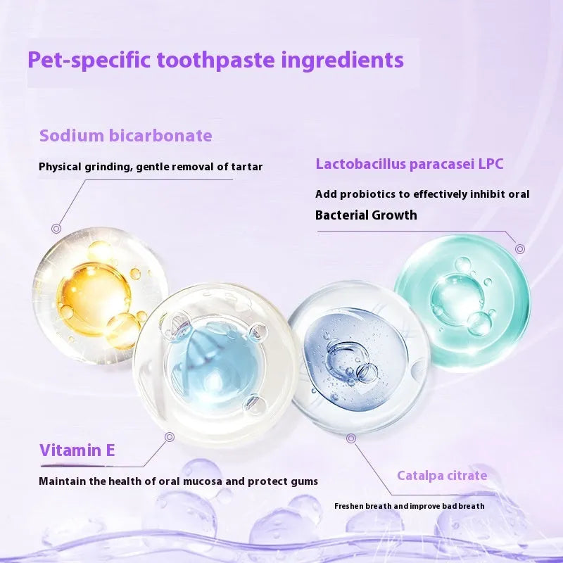 White plastic pet teeth whitening applicator pen with 5ml gel for dogs and cats