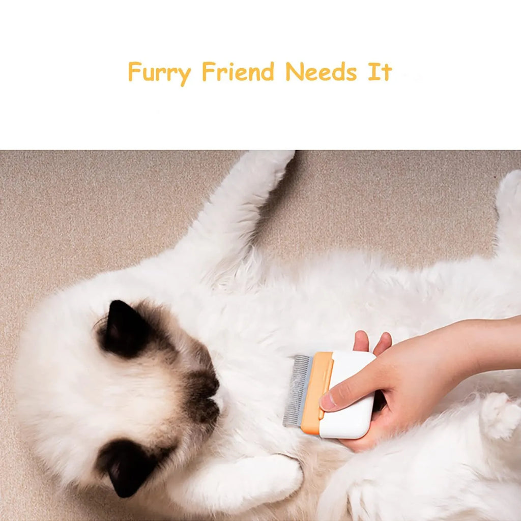 Double-sided blue pet grooming comb for cats and dogs with stainless steel teeth