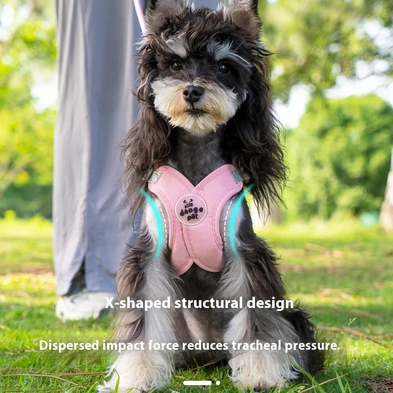 Polyester dog vest with attached hand holding rope in blue colour on size medium