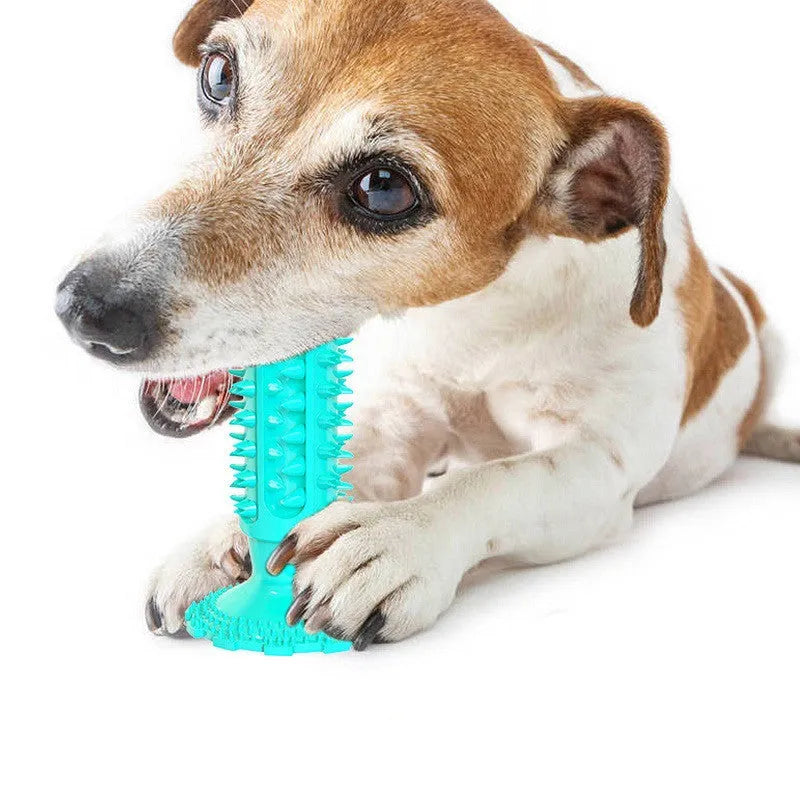Dog toothbrush molar stick TPR teeth cleaning toy serrated edges in lake blue for all dog breeds