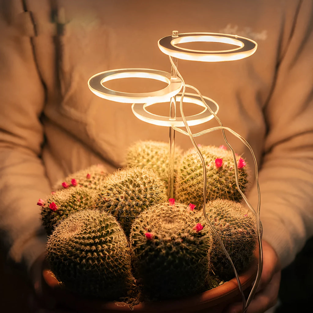 USB full spectrum LED plant grow light with acrylic stick on a table next to houseplants.