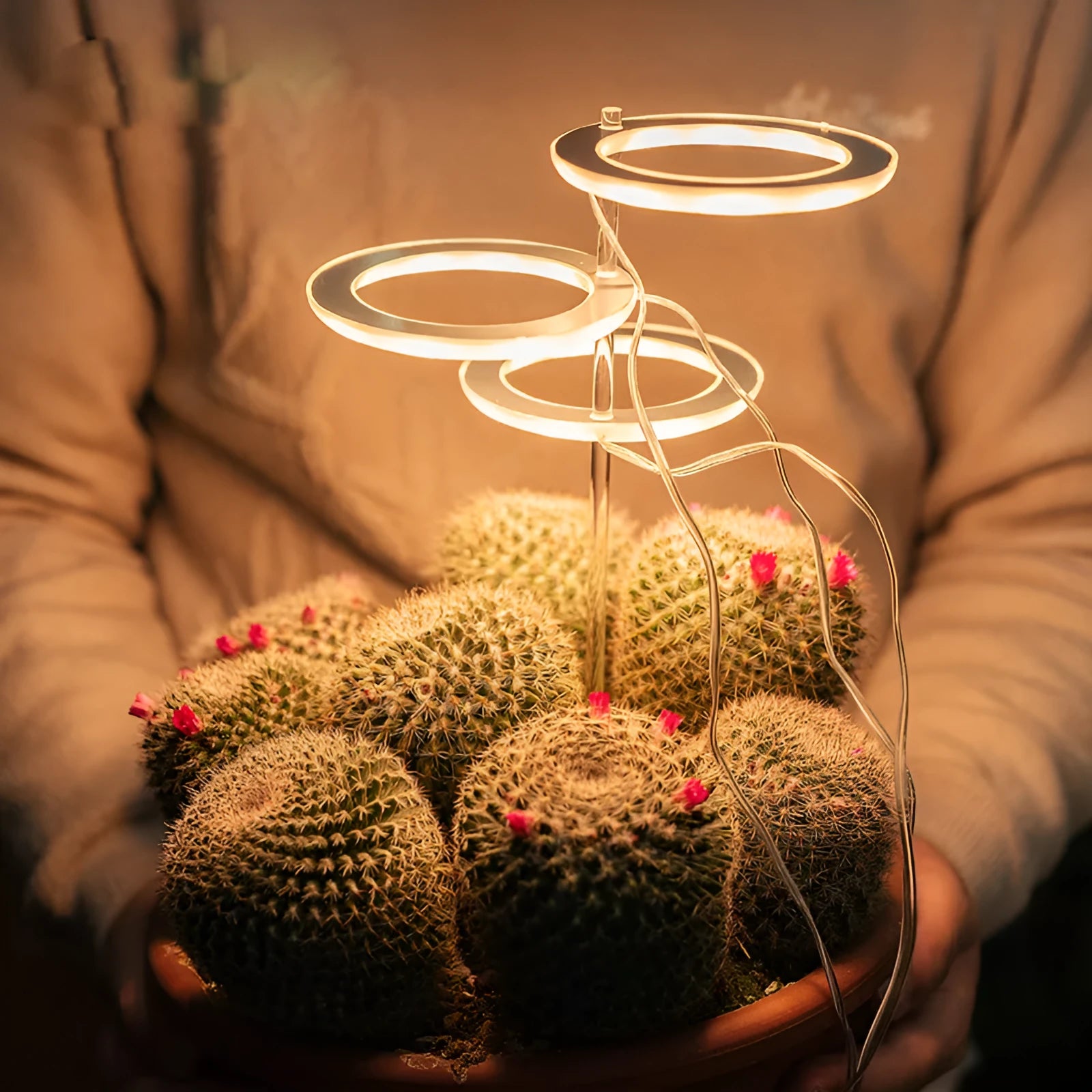 USB full spectrum LED plant grow light with acrylic stick on a table next to houseplants.