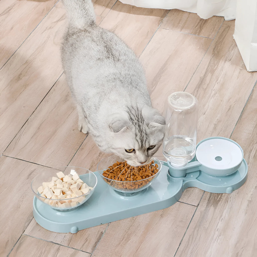 Double bowl automatic pet feeder with blue bowls and white plastic base on floor