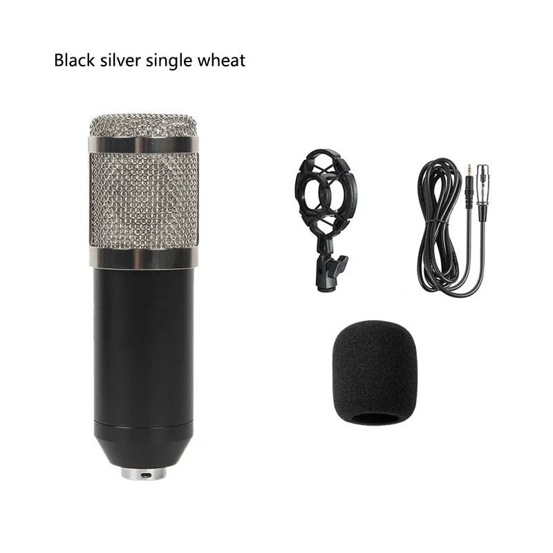 BM800 condenser microphone with large pop filter on a metal desk stand and shock mount.